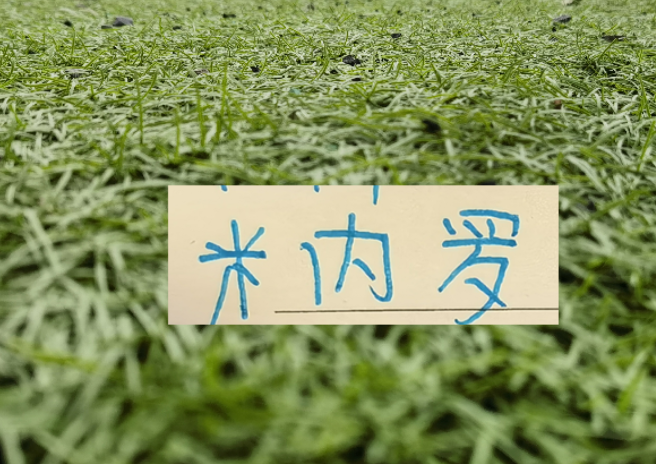 星空体育官方网站-马纳法五月比赛报销!